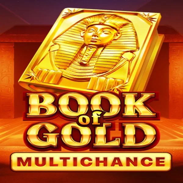 Try Book of Gold Multichance slot by Playson on vipzinocasino.eu – logo image